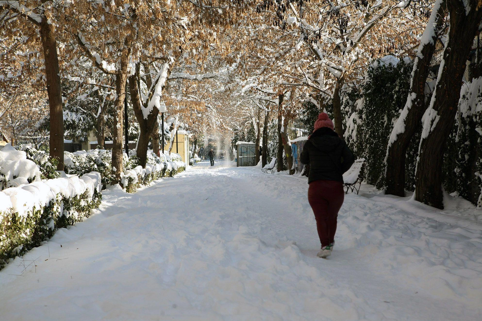 Καλλιάνος: «Λευκά» Χριστούγεννα και στην Αττική -Πού θα το στρώσει